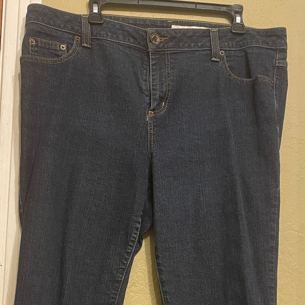 DKNY Blue Jeans (16W R)